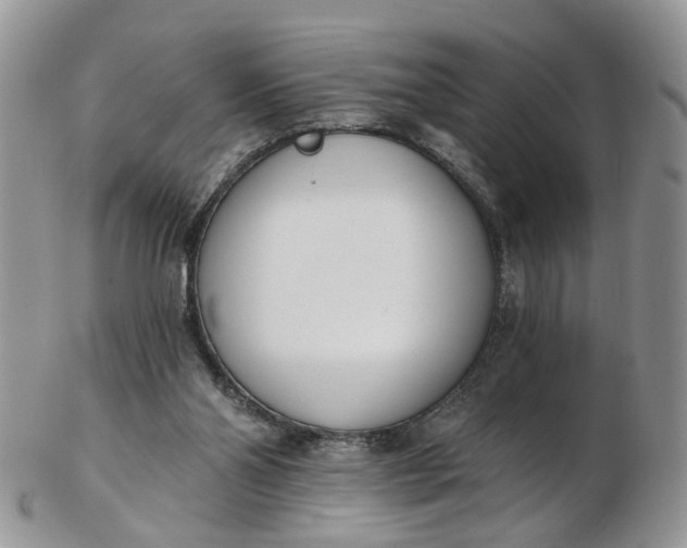 X0000103170110200809051730