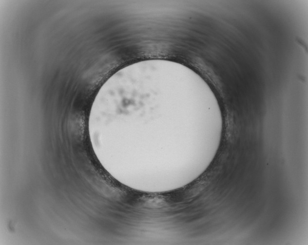 X0000103170113200809051730