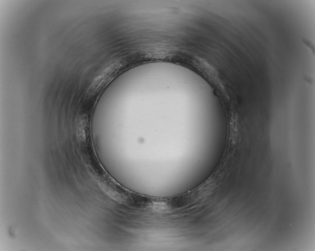 X0000103170114200809051730