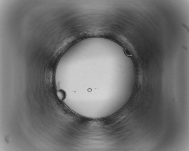 X0000103170115200809051730