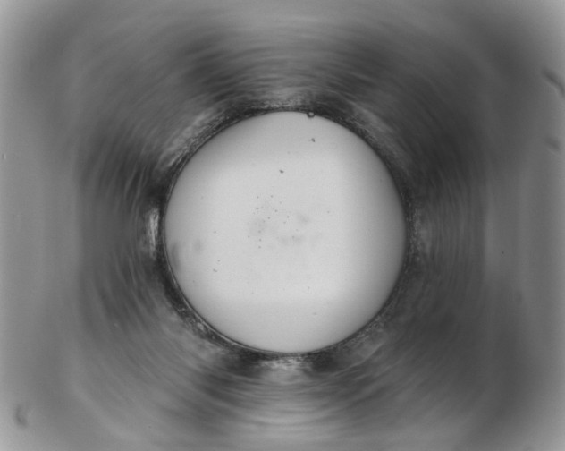 X0000103170118200809051730