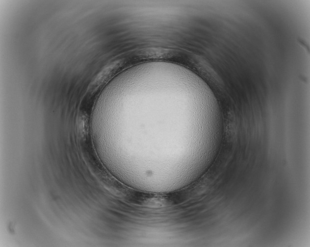 X0000103170119200809051730