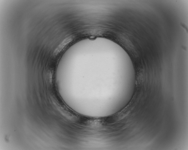 X0000103170120200809051730