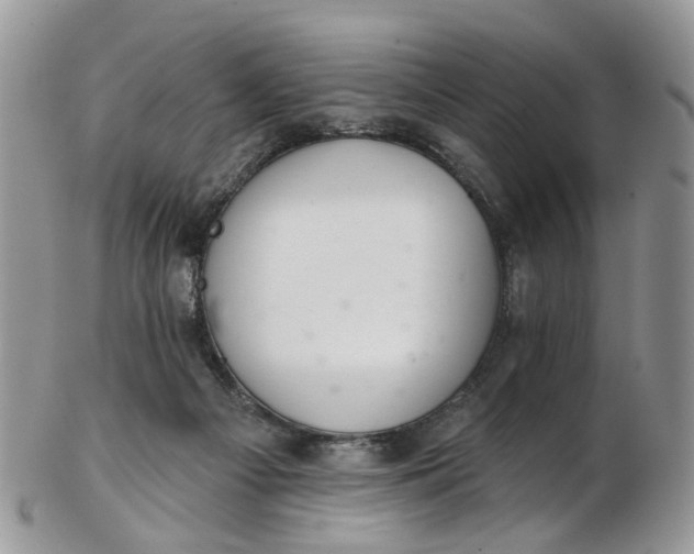 X0000103170121200809051730