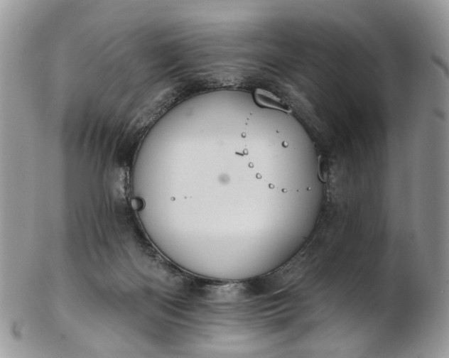 X0000103170122200809051730