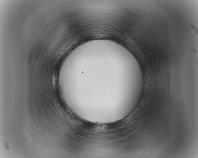 X0000103170124200809051730