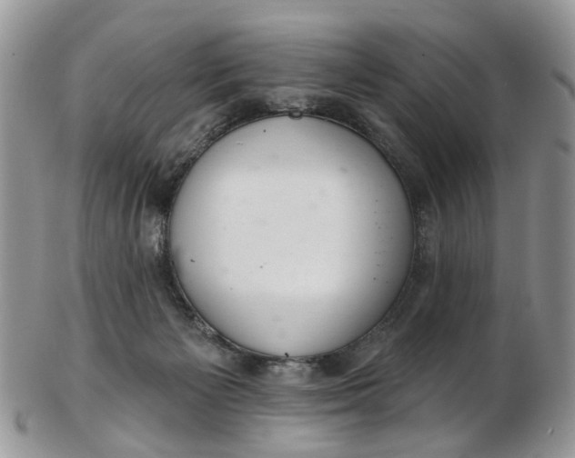 X0000103170125200809051730