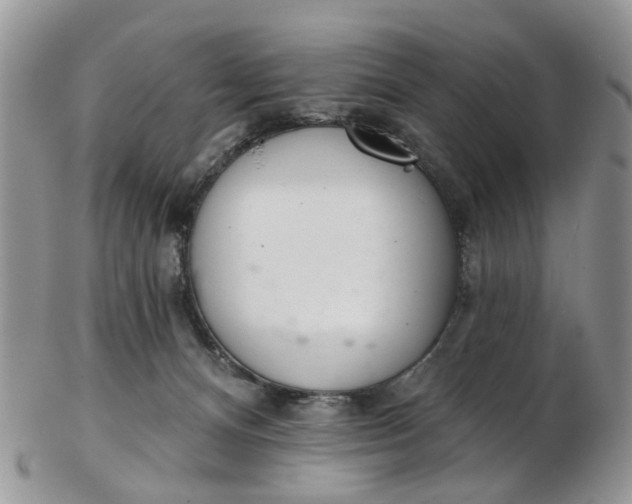 X0000103170128200809051730