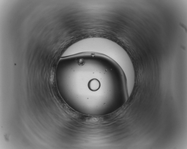 X0000103170129200809051730