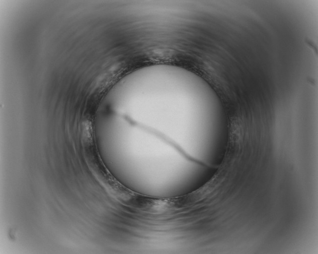 X0000103170130200809051730