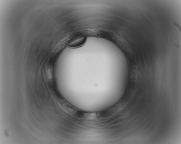 X0000103170131200809051730