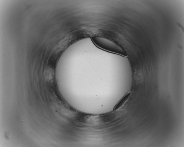 X0000103170132200809051730