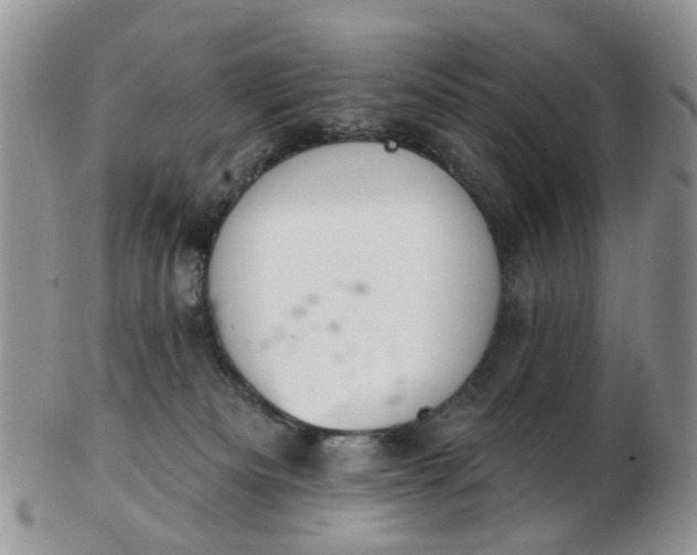 X0000103170133200809051730