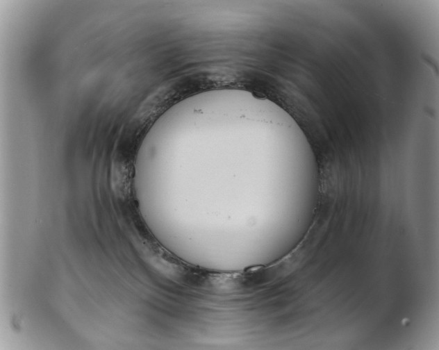 X0000103170136200809051730