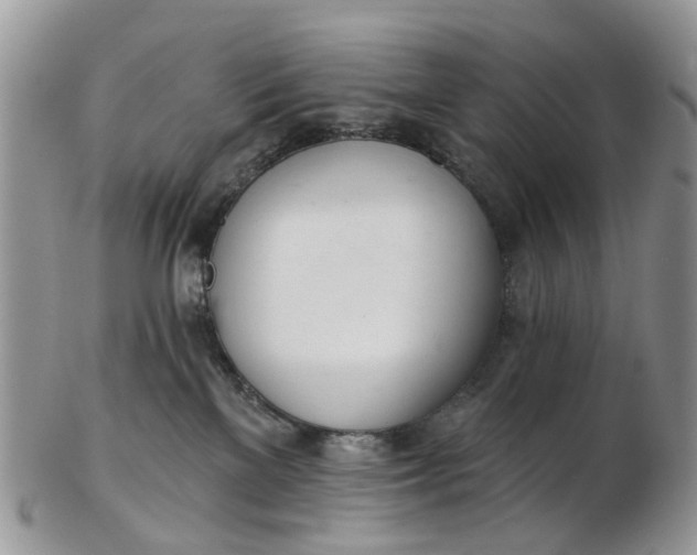 X0000103170137200809051730