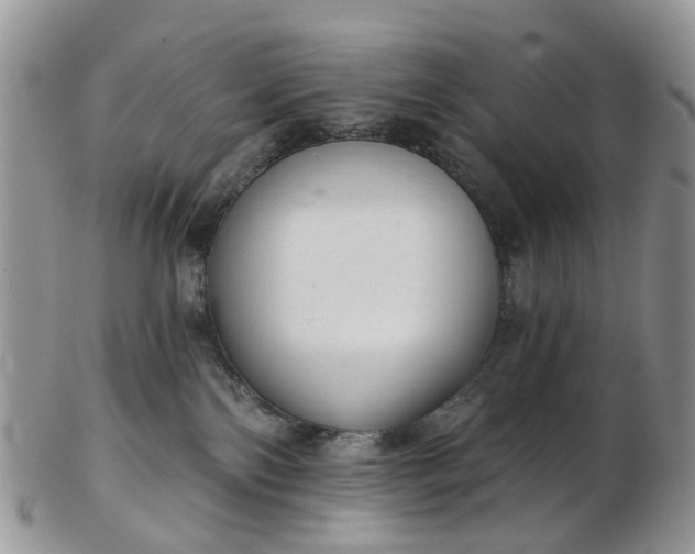 X0000103170138200809051730