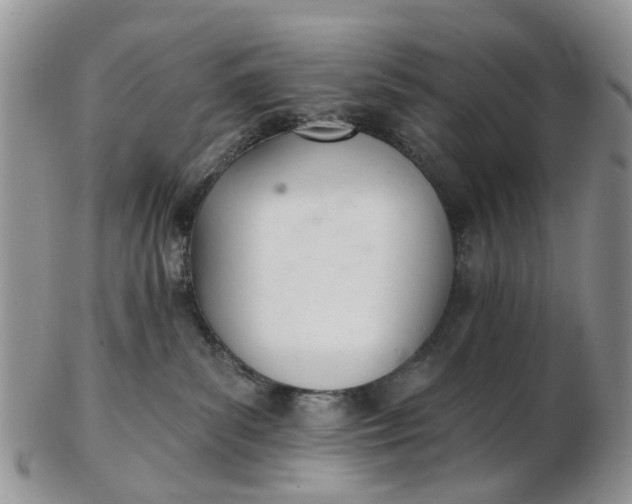 X0000103170139200809051730