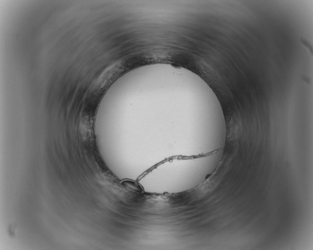 X0000103170140200809051730