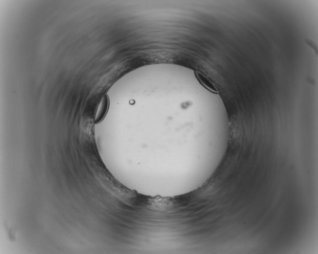 X0000103170141200809051730