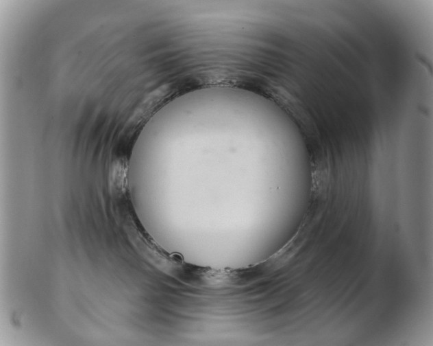 X0000103170142200809051730