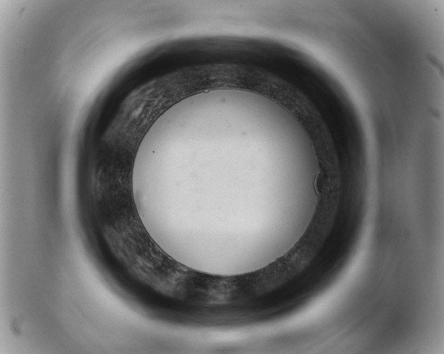 X0000103170143200809051730