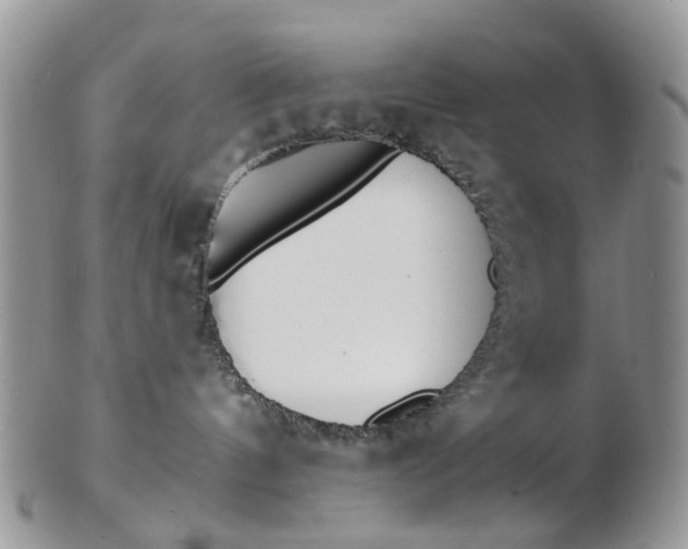 X0000103170144200809051730