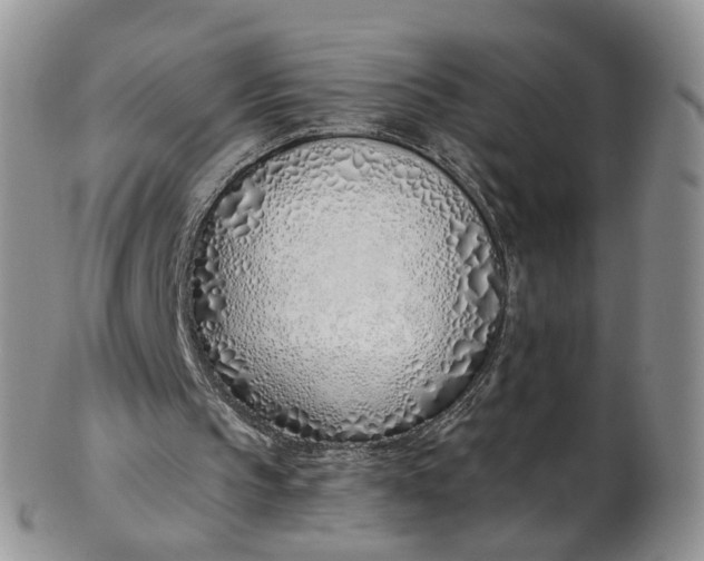 X0000103170145200809051729