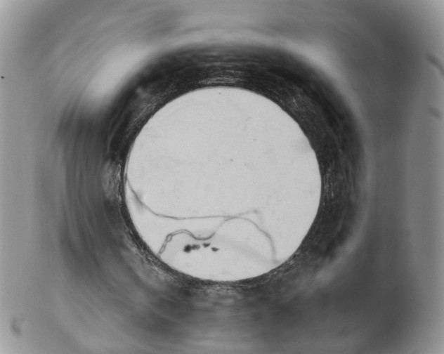 X0000103170146200809051729