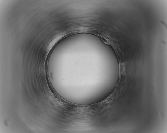 X0000103170147200809051729