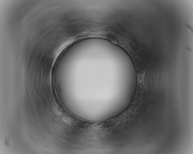 X0000103170148200809051729