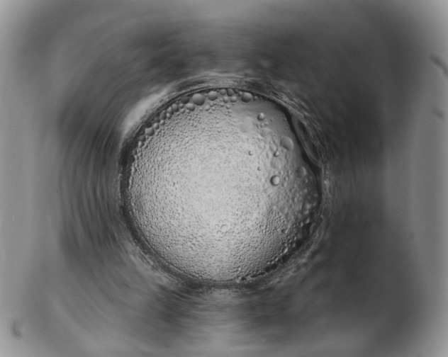 X0000103170149200809051729