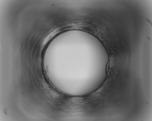 X0000103170150200809051729