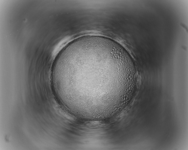 X0000103170151200809051729