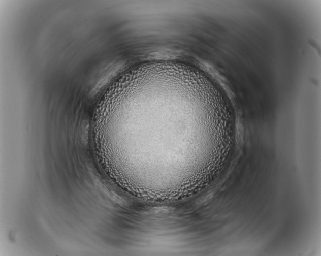 X0000103170153200809051729