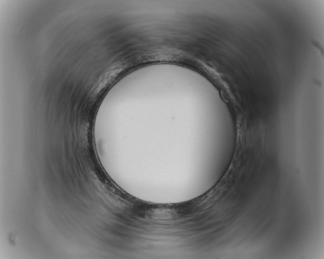 X0000103170154200809051729