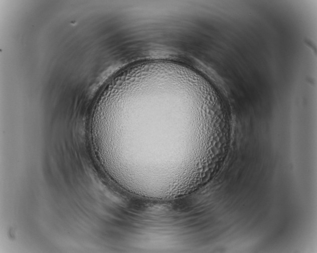 X0000103170155200809051729