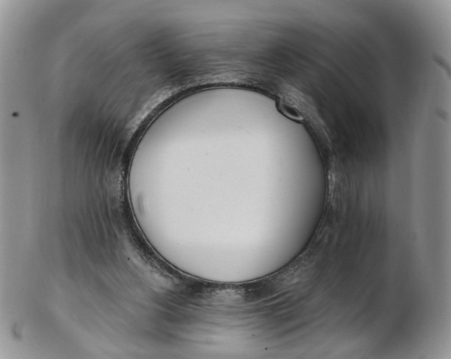 X0000103170156200809051729