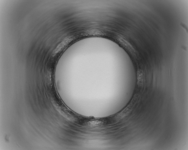 X0000103170158200809051729