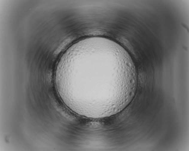 X0000103170159200809051729