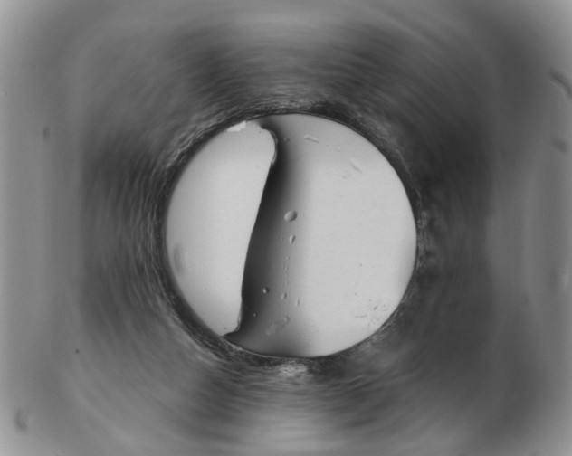 X0000103170162200809051729