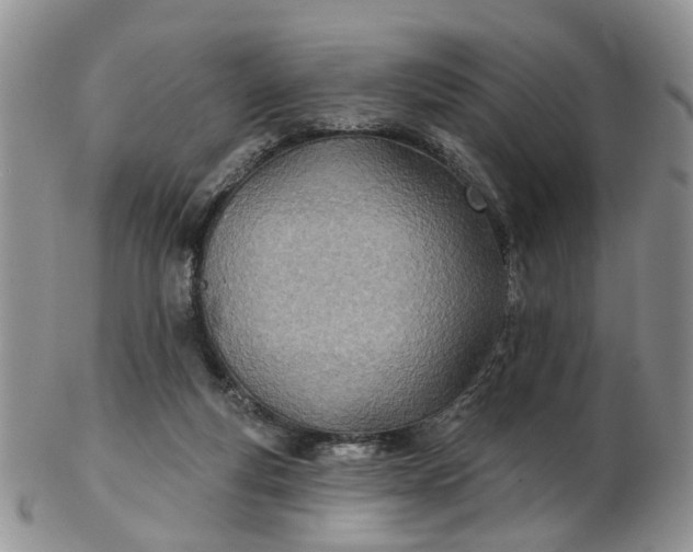 X0000103170163200809051730