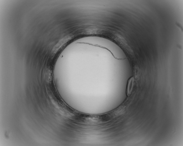 X0000103170164200809051730