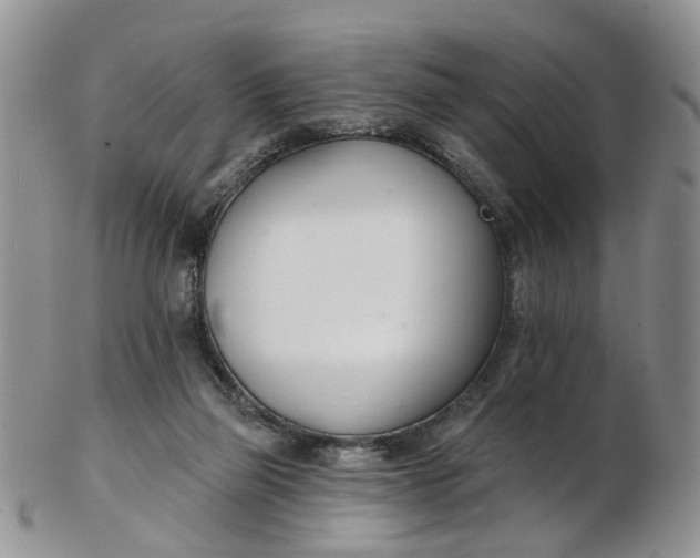 X0000103170165200809051730