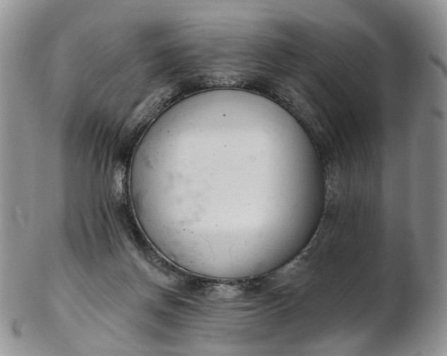 X0000103170166200809051730