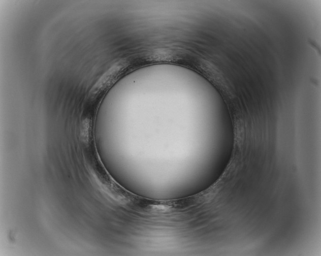 X0000103170167200809051730