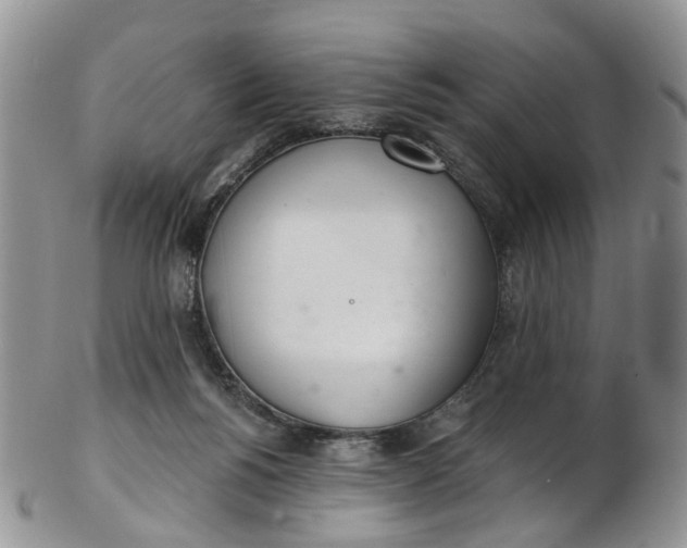 X0000103170168200809051730