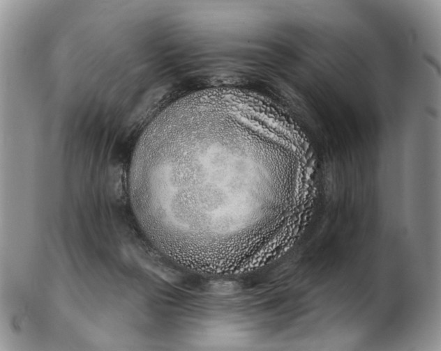 X0000103170169200809051730