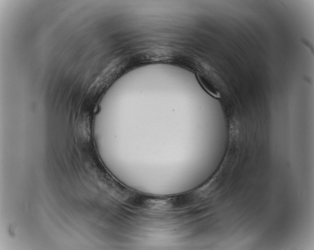 X0000103170170200809051730