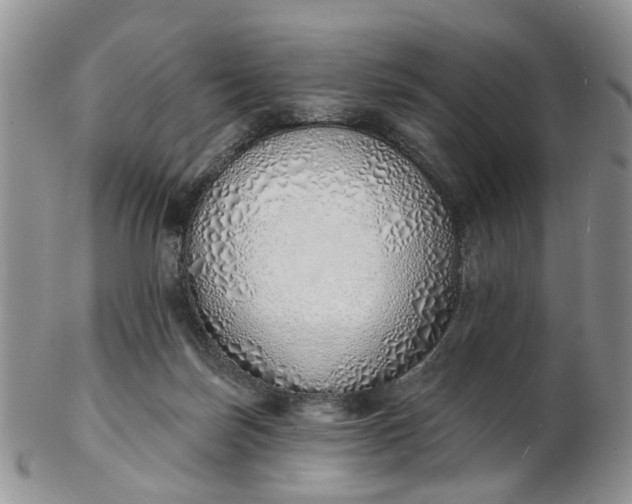 X0000103170171200809051730