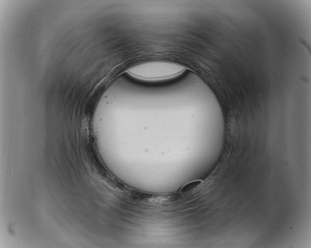 X0000103170172200809051730